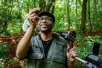 Nokta Au Gold Finder Metal Detector - Image 4